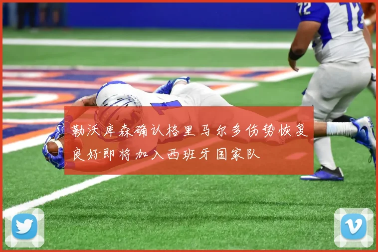 勒沃库森确认格里马尔多伤势恢复良好即将加入西班牙国家队