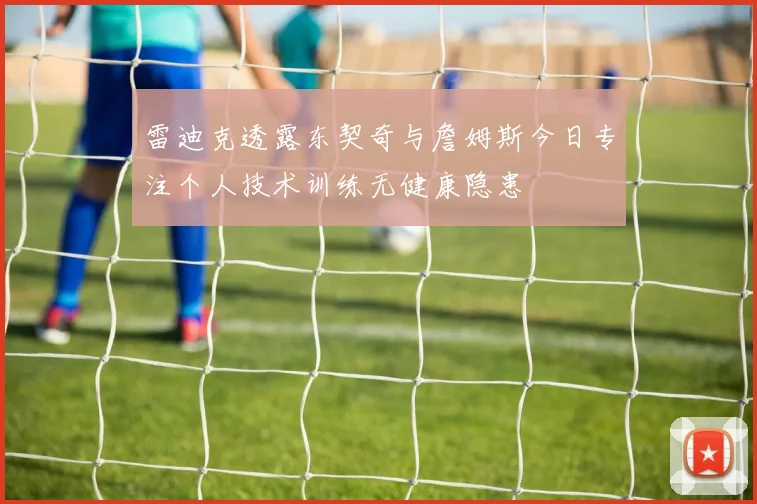 雷迪克透露东契奇与詹姆斯今日专注个人技术训练无健康隐患